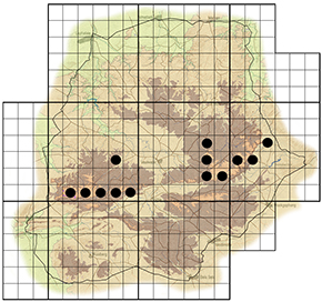 Pterocelastrus echinatus Waterberg distribution